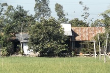 Bị "mất tích" rồi được trả về vì... gia đình không có tiền chuộc?!