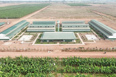 THACO AGRI đầu tư cơ sở vật chất, chăm lo đời sống người lao động