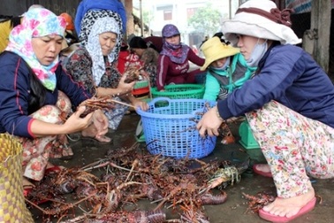 Cấp hơn 130.000 thẻ BHYT miễn phí cho người dân miền biển