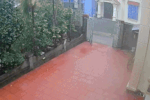 Chủ nhà ở Hải Phòng kể phút thót tim tia sét đánh tóe lửa xuống góc vườn