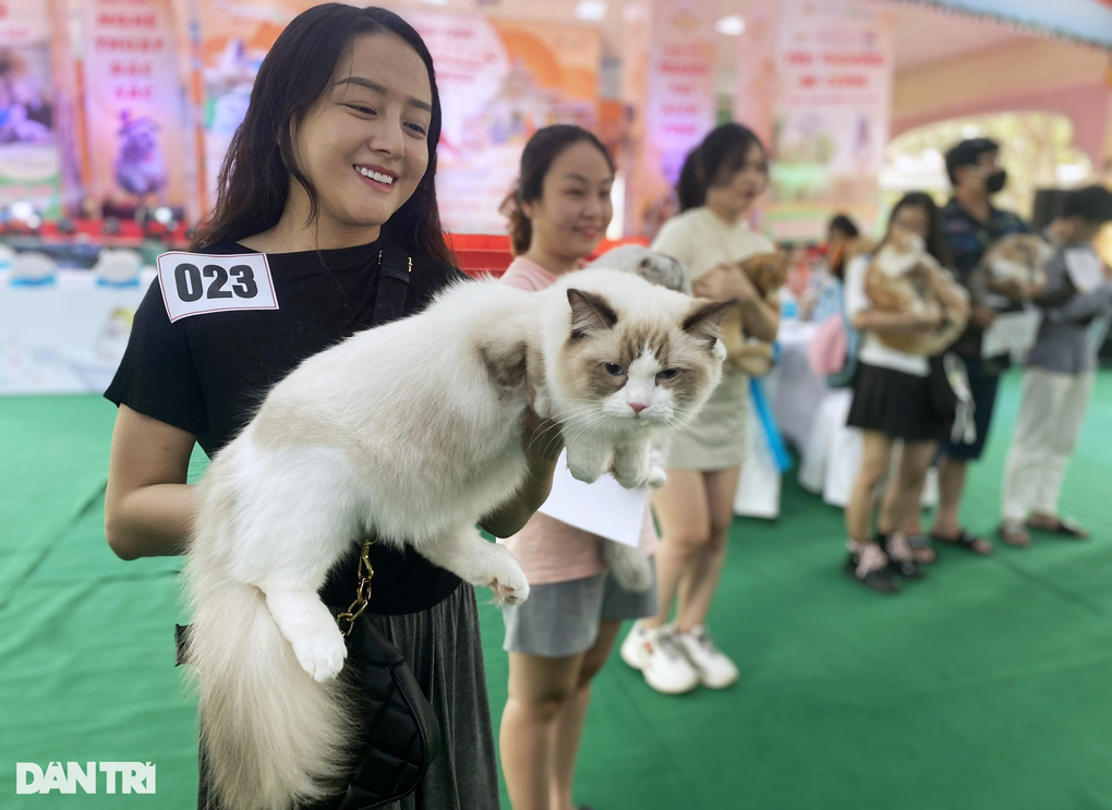 Hot girl mang thú cưng nghìn USD đến ngày hội độc đáo ở TPHCM - 4 Hot girl mang thú cưng nghìn USD đến ngày hội độc đáo ở TPHCM - 4
