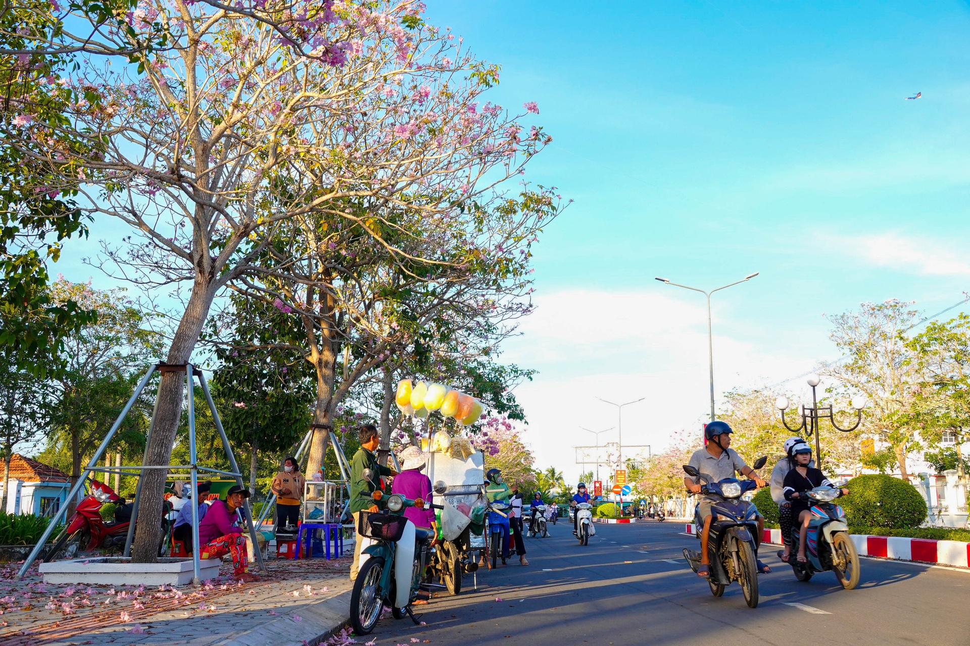 Con đường rực rỡ hoa anh đào ở miền Tây - 7 Con đường rực rỡ hoa anh đào ở miền Tây - 7