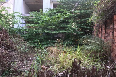 Chuyện khó tin bên trong biệt thự triệu đô bỏ hoang ở Sài Gòn