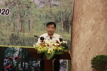 Bộ trưởng Nông nghiệp: "Giá trị cốt lõi của Tây Nguyên trên hết là rừng"