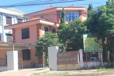 Để xảy ra sai phạm "khủng", giám đốc tự nhận mức kỷ luật khiển trách!