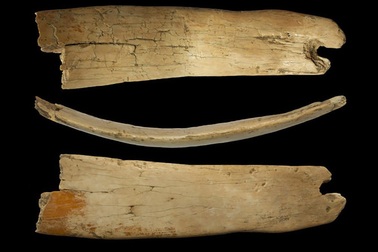 Phát hiện vương miện kì lạ 50.000 năm tuổi ở Siberia