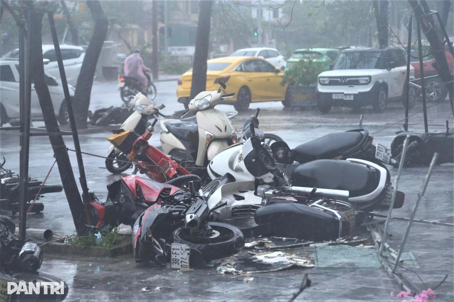 Bão Bualoi gây hư hỏng hàng loạt ô tô, xe máy - 4 Bão Bualoi gây hư hỏng hàng loạt ô tô, xe máy - 4