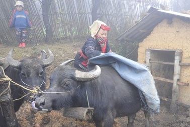 Không khí lạnh tiếp tục “càn quét” miền Bắc, Hà Nội thấp nhất 10 độ C