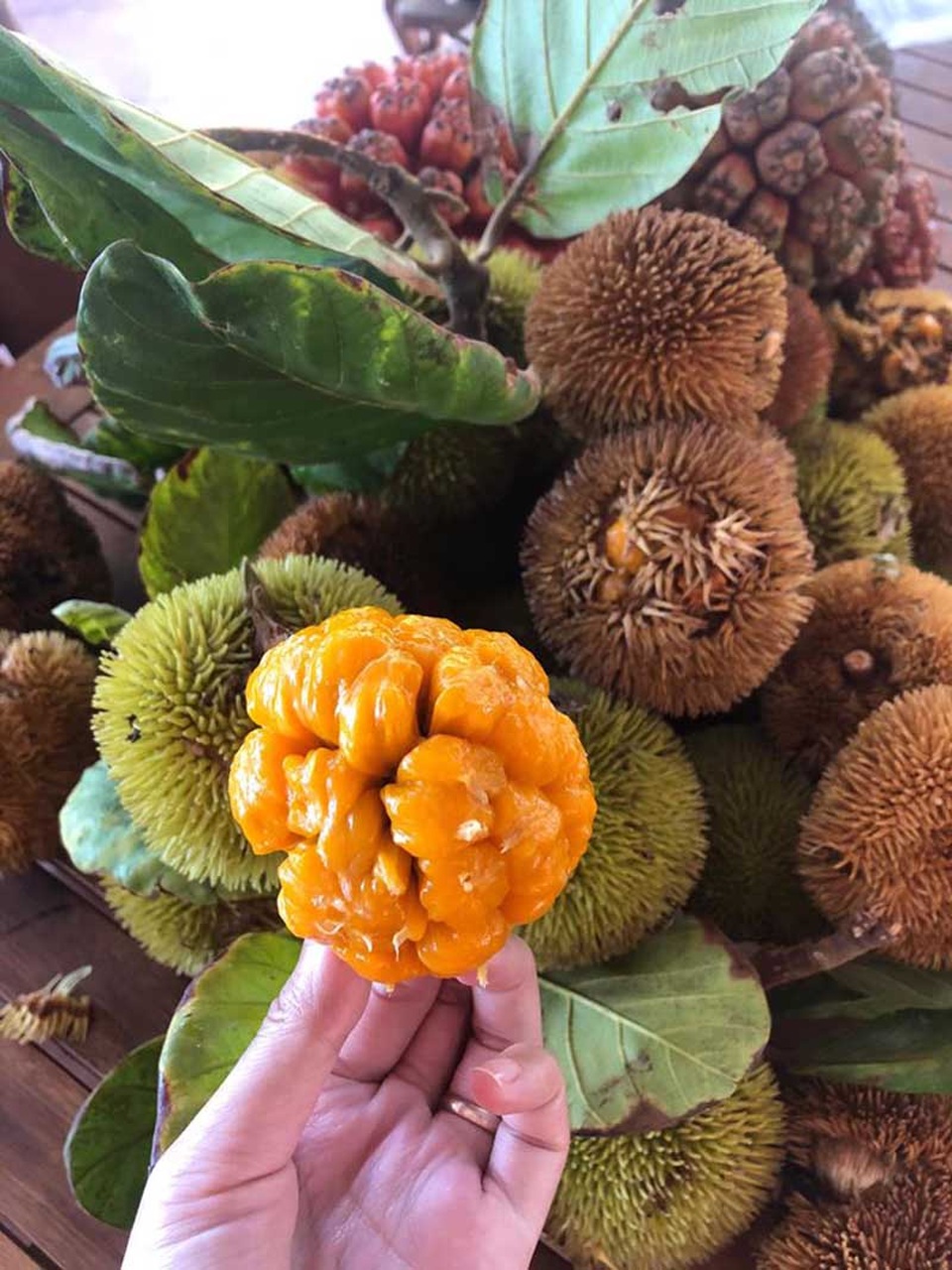 14 ngày trăng mật trên đảo hoang sơ của cặp vợ chồng Hà Tĩnh - 5 14 ngày trăng mật trên đảo hoang sơ của cặp vợ chồng Hà Tĩnh - 5