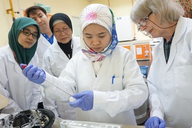 Lợi ích bất ngờ từ vi khuẩn có lợi LC-Plasma với bệnh sốt xuất huyết