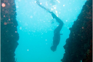 Những “siêu năng lực” tiềm ẩn của con người