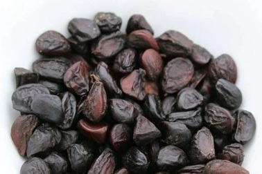 Hạt dổi, linh hồn của ẩm thực Tây Bắc