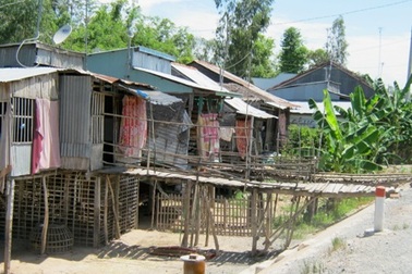 Ngắm những ngôi nhà sàn “khát nước” vùng ĐBSCL