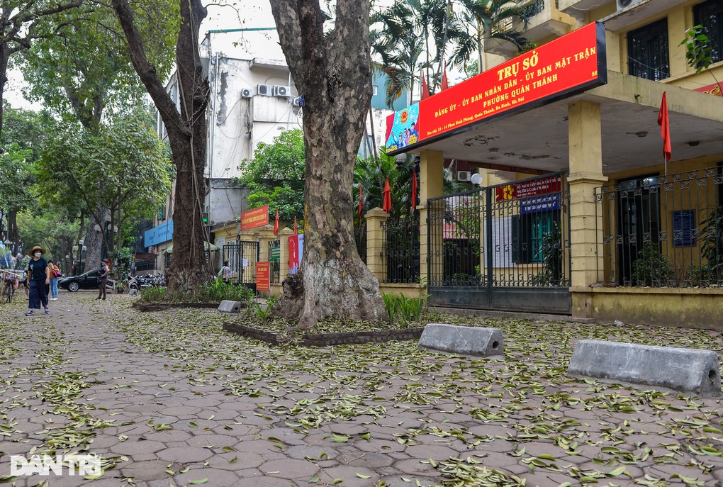 Hà Nội: Dựng rào, giăng dây, xây trụ bê tông để giữ vỉa hè - 1 Hà Nội: Dựng rào, giăng dây, xây trụ bê tông để giữ vỉa hè - 1
