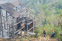 Đốt cỏ làm cháy homestay ở Đà Lạt