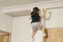 Bé 3 tuổi tay không trèo tường như "người nhện"