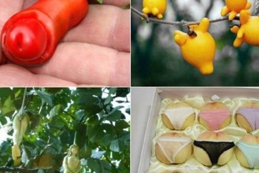 Những loại quả "siêu sexy" khiến người xem đỏ mặt