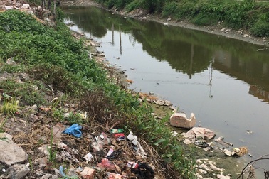 Hiểm họa dịch bệnh do muỗi