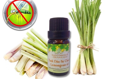 Những sai lầm khi tránh muỗi