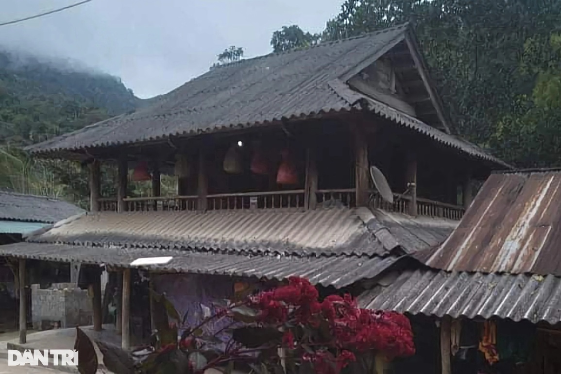Dân nghèo xót xa vào rừng gom nhặt xác trâu bò chết rét - 4 Dân nghèo xót xa vào rừng gom nhặt xác trâu bò chết rét - 4