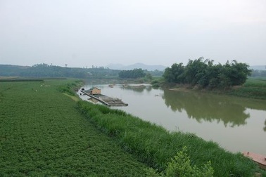 Lùm xum vụ UBND huyện Tam Nông đình chỉ doanh nghiệp khai thác cát trên sông Bứa