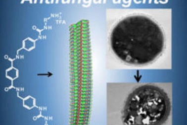 Biến nhựa tái chế thành thuốc trị nấm