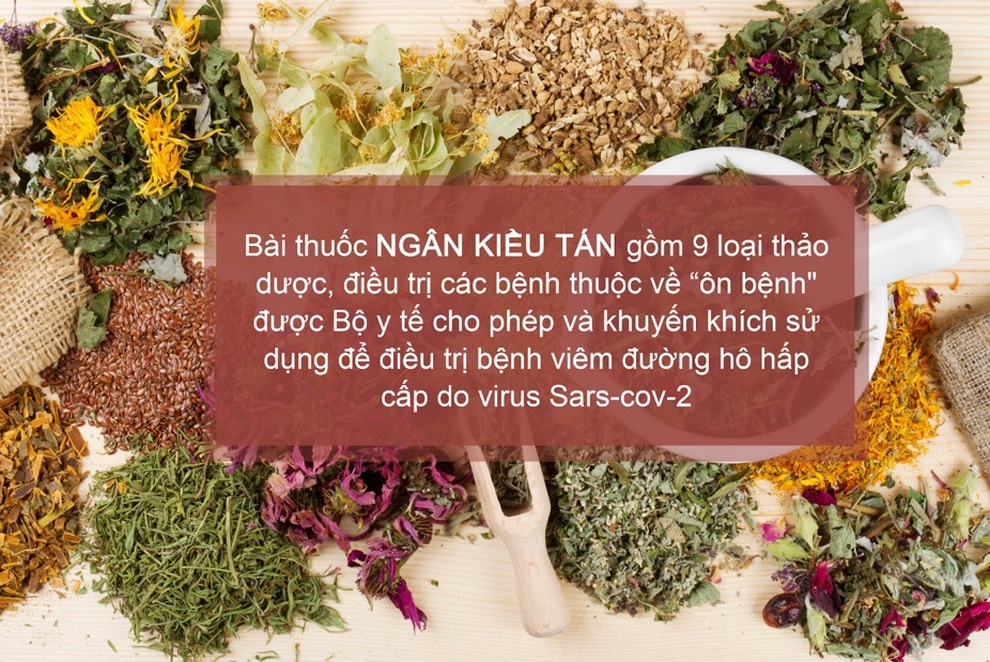 Siro Zhealth: Kết hợp cả Xuyên tâm liên và Kim ngân hoa - 4 Siro Zhealth: Kết hợp cả Xuyên tâm liên và Kim ngân hoa - 4