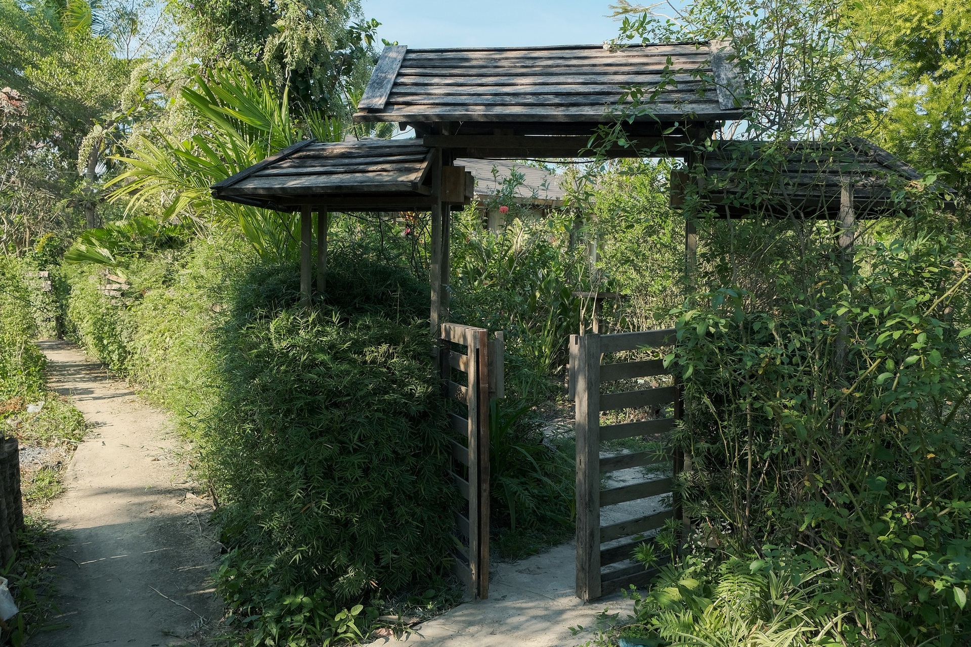 Cặp đôi hai bố lên rừng tìm lời giải mình là ai, sinh ra để làm gì? - 4 Cặp đôi hai bố lên rừng tìm lời giải mình là ai, sinh ra để làm gì? - 4