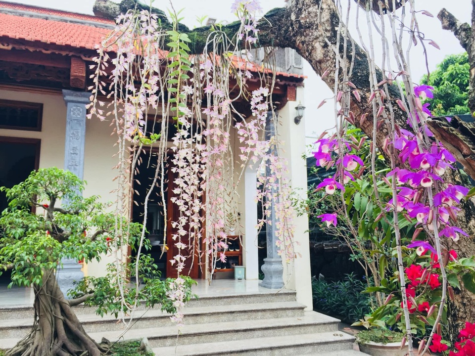 Ông bố Hà Nội làm nhà vườn 1.500m2 tràn ngập cây xanh, đẹp bình yên - 8 Ông bố Hà Nội làm nhà vườn 1.500m2 tràn ngập cây xanh, đẹp bình yên - 8