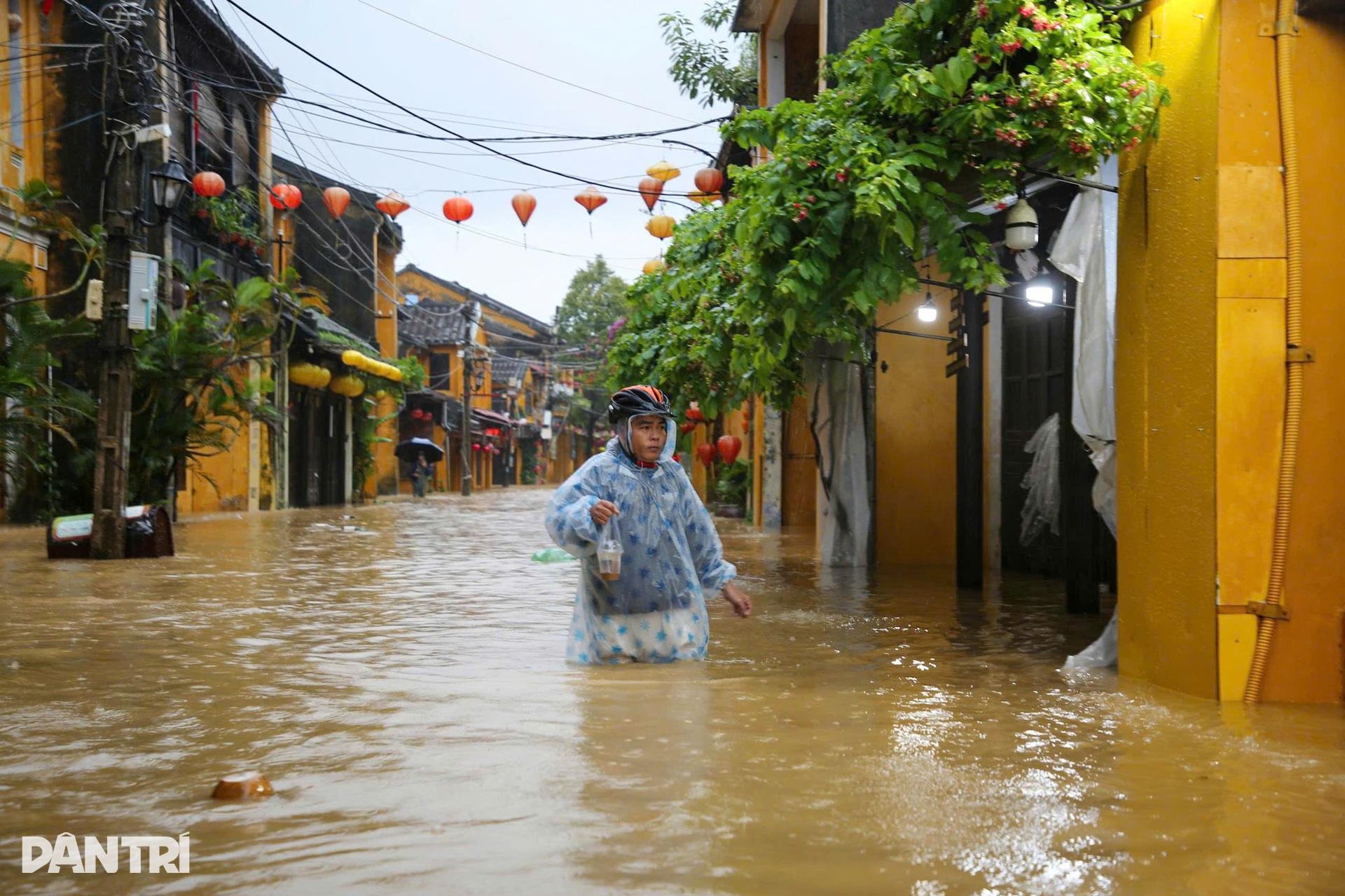 Lũ cuốn trôi cầu, nhấn chìm hàng trăm ngôi nhà ở miền Trung - 8
