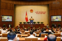 Phê chuẩn 34 cấp phó tại Hội đồng Dân tộc, các Ủy ban của Quốc hội