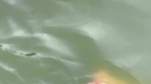 Cường và các chiến sĩ trong một nội dung huấn luyện về lặn