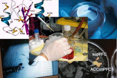 5 tiến bộ y học đột phá trong thập kỷ