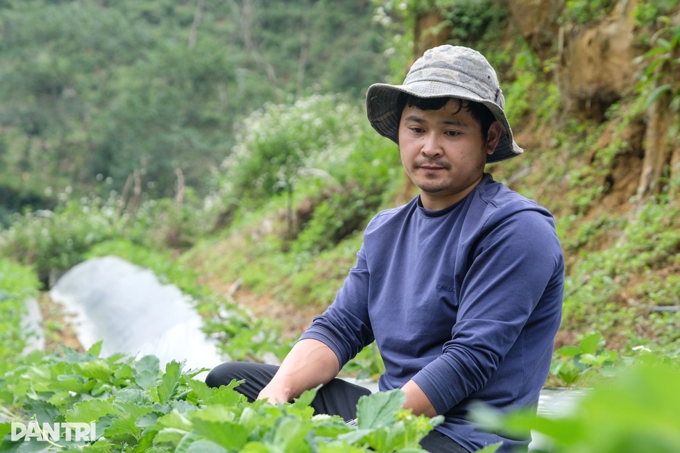 Những bữa cơm chan nước mưa, nước mắt là hành trang mang về làm chủ! - 5 Những bữa cơm chan nước mưa, nước mắt là hành trang mang về làm chủ! - 5