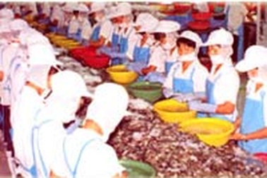 Đà Nẵng: Hỗ trợ lãi suất vay cho các DN xuất khẩu