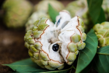 Cảnh những chuyến na “bay trên trời” ở Lạng Sơn