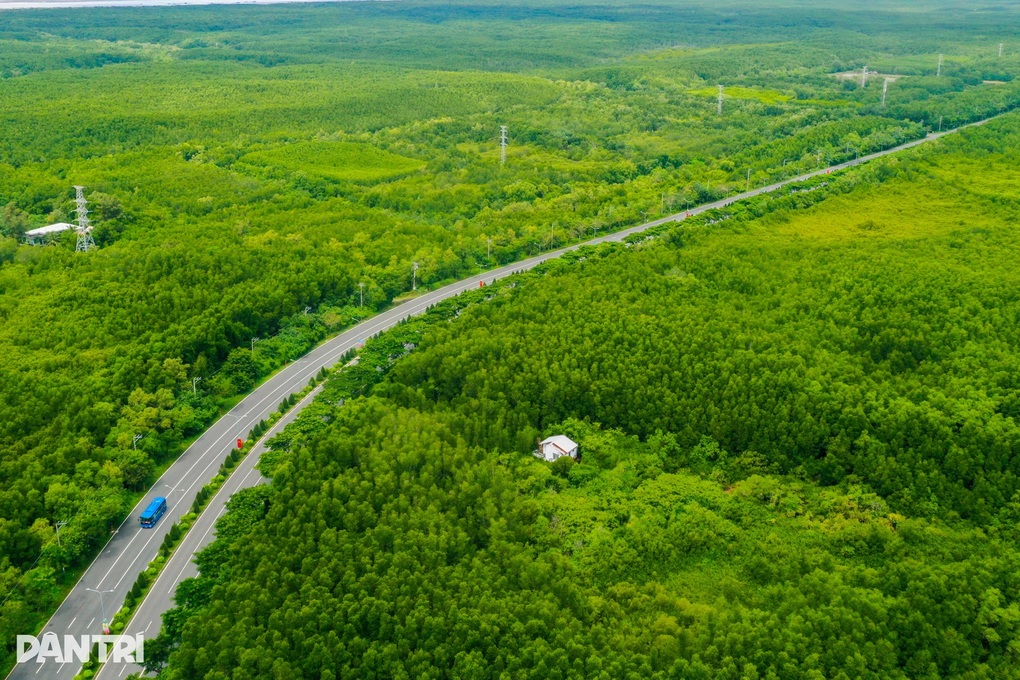 TPHCM gìn giữ khu dự trữ sinh quyển, làm công viên rừng ngập mặn Cần Giờ - 1