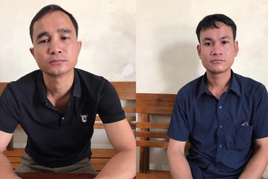 Bắt hai đối tượng ngang nhiên chặt phá hơn 6ha rừng