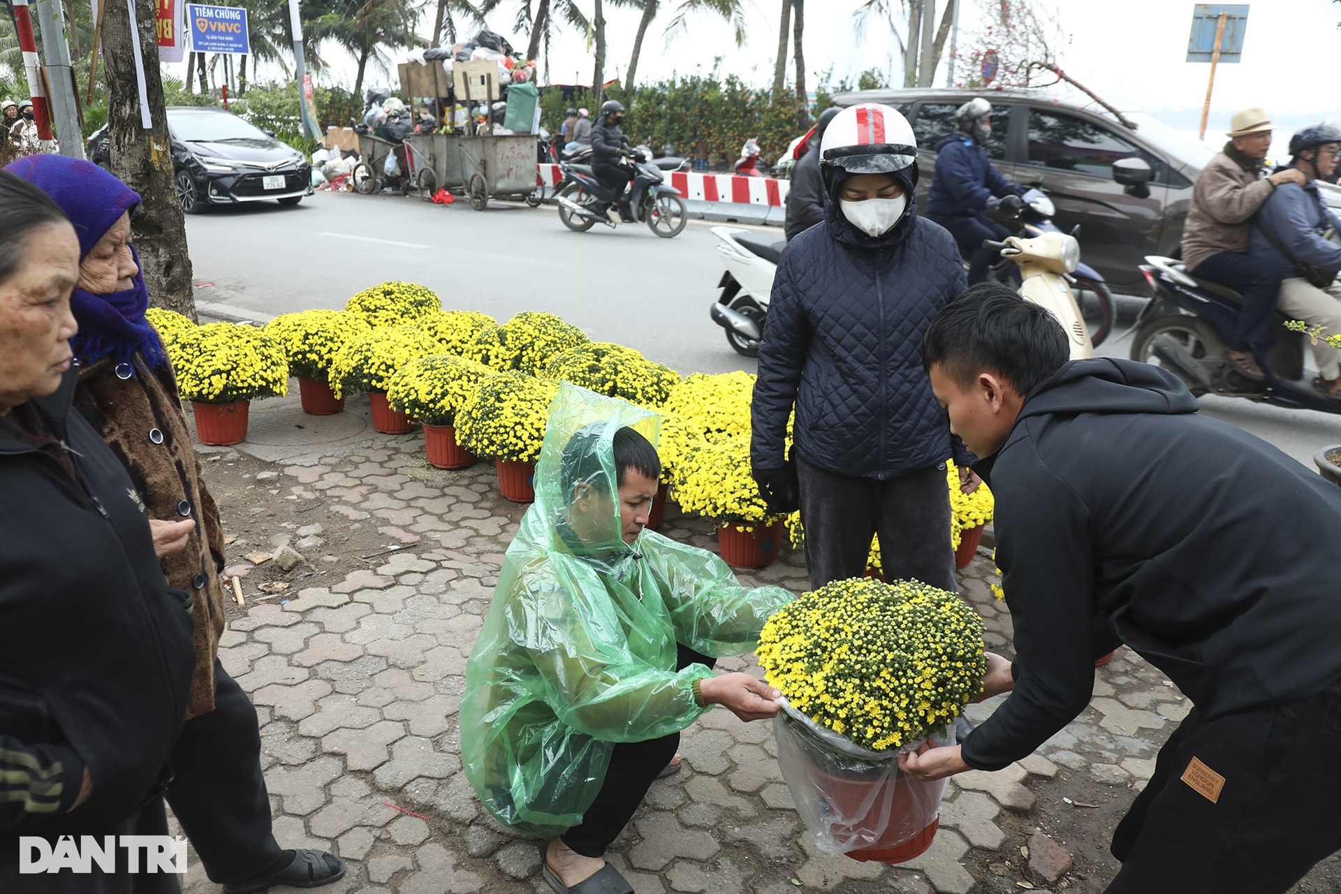 People flock to Lac Long Quan flower market to shop for Tet - June