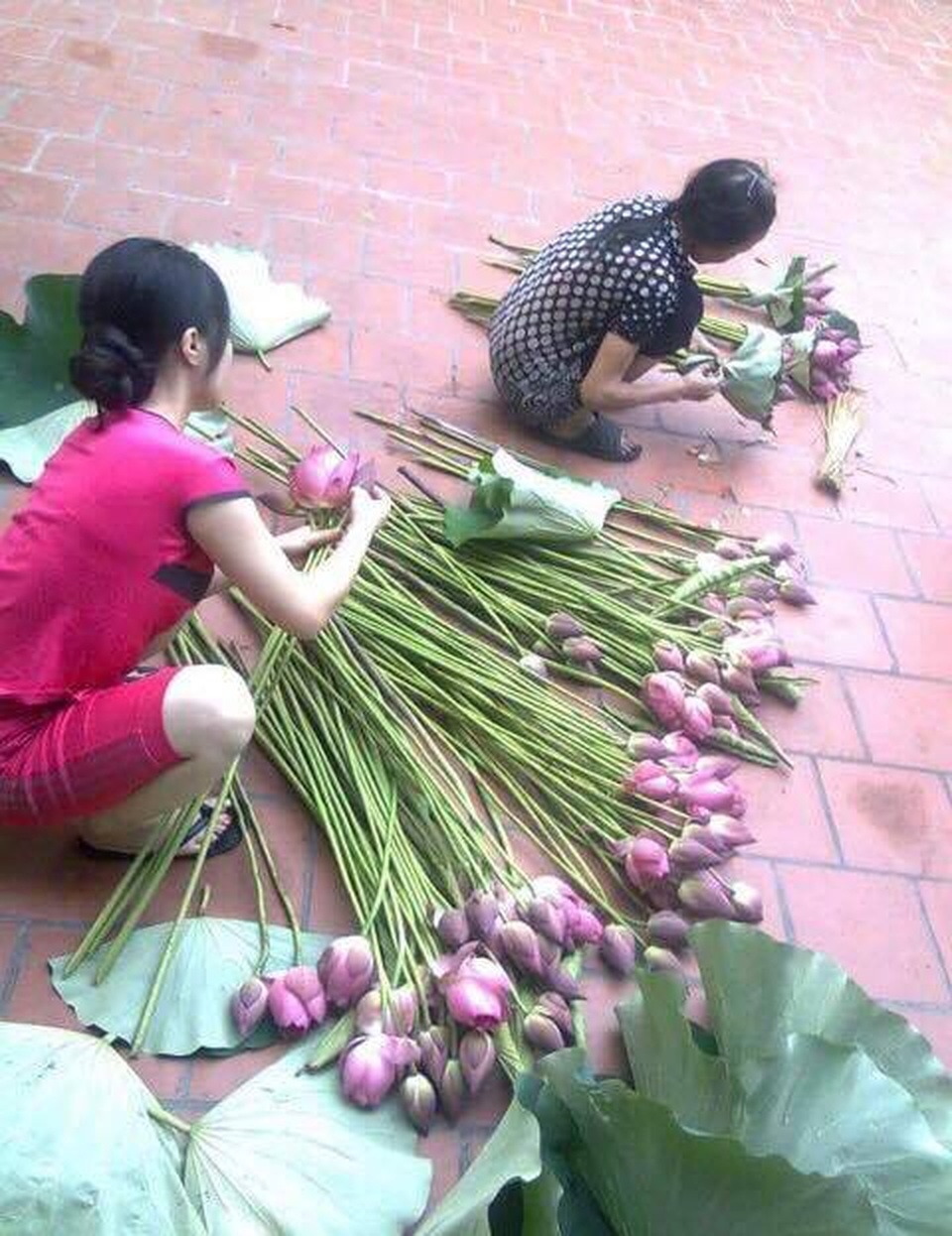 Mang trong mình dòng máu của một chiến binh - 2 Mang trong mình dòng máu của một chiến binh - 2