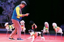 Vụ "Liên đoàn Xiếc gửi 10.000 đồng ủng hộ bão lũ": Lời khai người gửi tiền