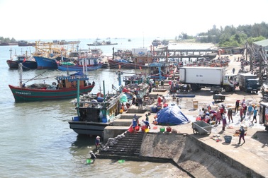 Ngư dân yên tâm vươn khơi sau công bố biển an toàn