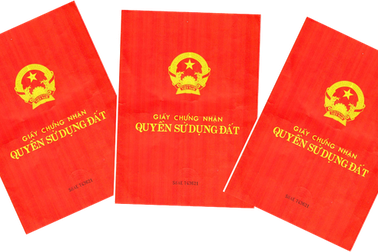 Cần Thơ: Nguyên Phó Chủ tịch UBND Quận Bình Thủy bị khởi tố