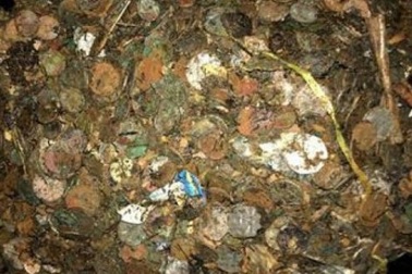 Bất ngờ đào được "kho báu" trong giếng khô bỏ không