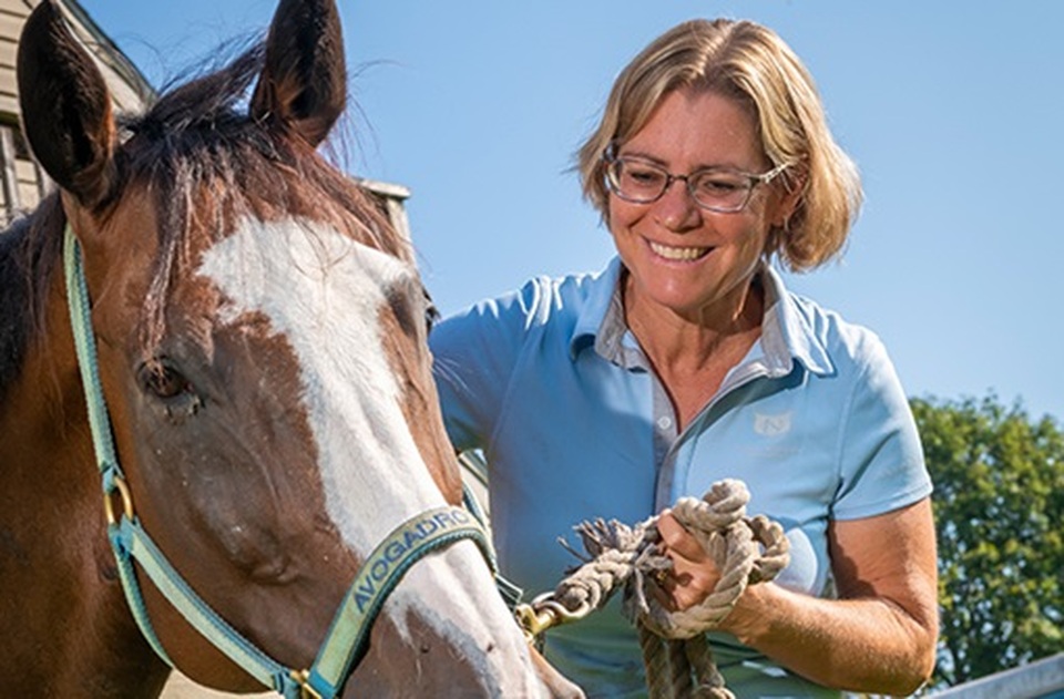 Kỳ lạ: Bác sĩ Mỹ điều trị ung thư bằng... ngựa - 2 Kỳ lạ: Bác sĩ Mỹ điều trị ung thư bằng... ngựa - 2