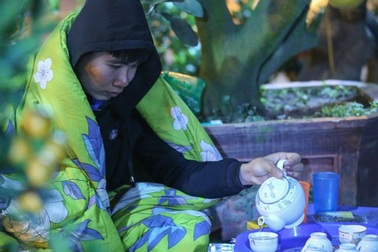 Trùm chăn thâu đêm trông đào, quất lộ thiên ở Hà Nội