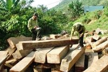 Hai cán bộ bảo vệ rừng bị lâm tặc chém trọng thương