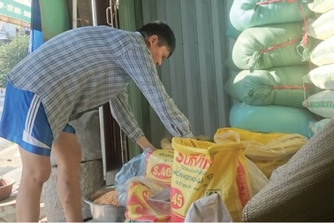 “Cám độc” chứa chất gây ung thư vẫn bày bán công khai