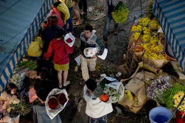 Chợ hoa lớn nhất Sài Gòn nhộn nhịp trước ngày 8/3