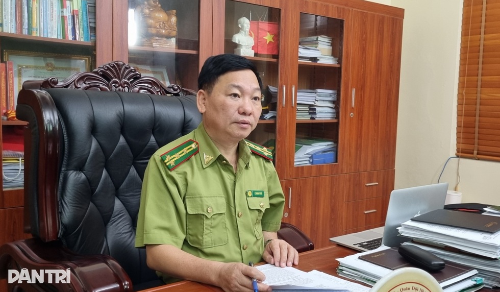 Rừng Sóc Sơn bị xẻ thịt: Có vụ từ trước năm 2000 giờ đã xử lý được đâu! - 1